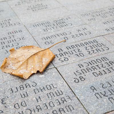 A photo of commemorative pavers on campus.